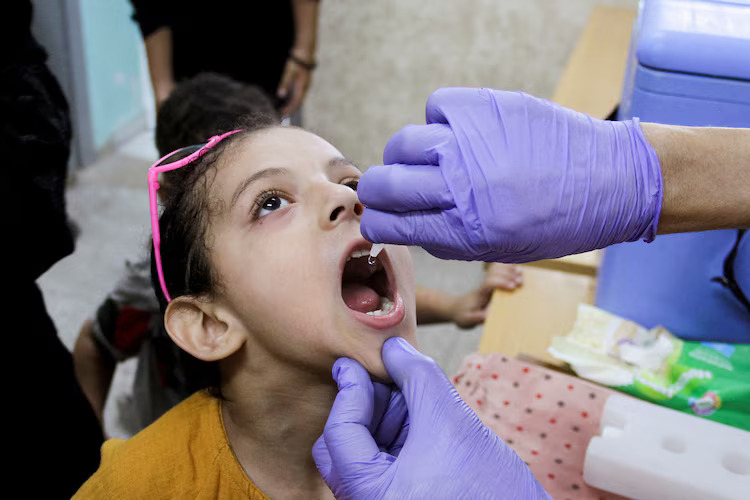 Gaza Polio Vaccinations