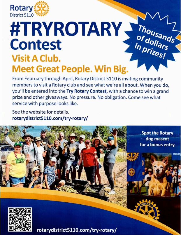 Try Rotary contest District 5110
